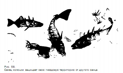 1001-9.jpg