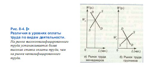 Различия в уровнях оплаты труда по видам деятельности