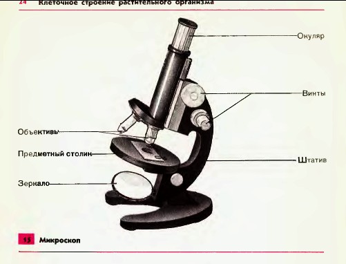 Микроскоп