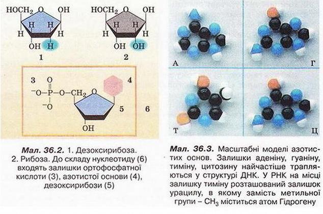 Chemistry 240x.jpg