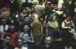 DenF 7 7 8.jpg