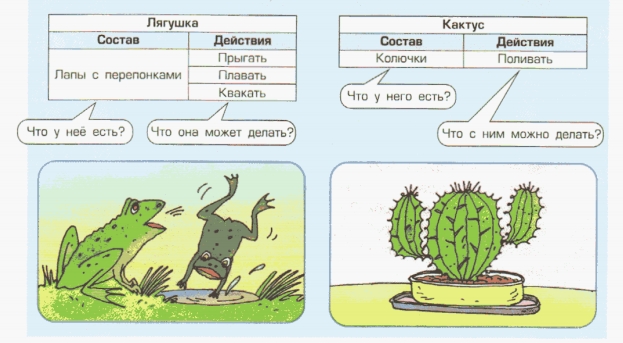 Состав и действия