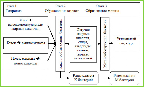 Схема добування біотоплива