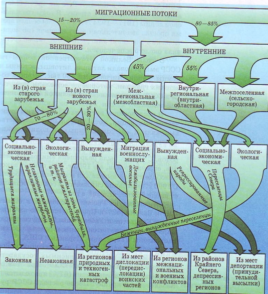 Структура миграционных потоков в России