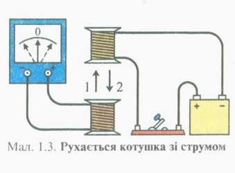 10003.jpg