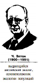 1001-13.jpg