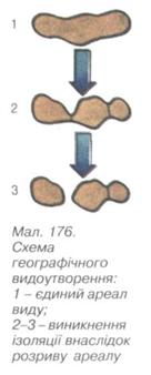 Схема видоутворення