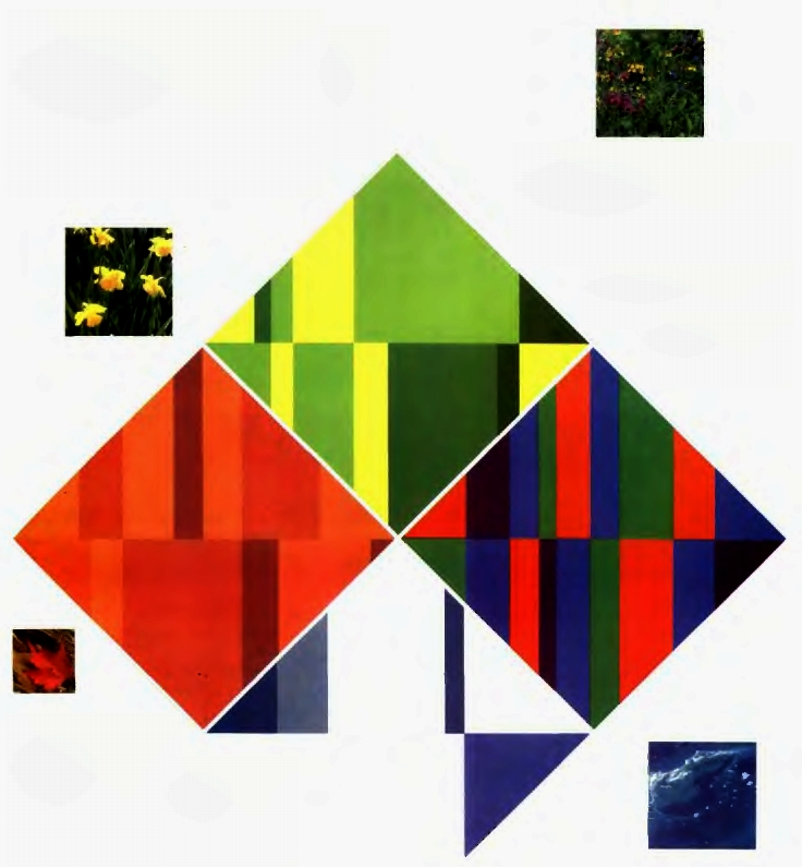 15-02-04.jpg